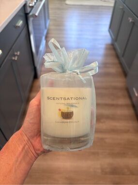 11 oz Caribbean Coconut Soy Candle by Scentsational